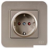 Günsan Elektrik 01372500-100116 Radius Çocuk Korumalı Bej Topraklı Priz