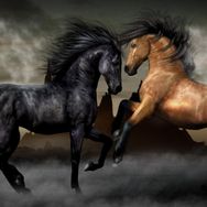 Güven Serigrafi Horses 1000 Parça Ahşap Puzzle Yapboz