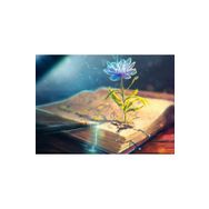 Güven Serigrafi Kitap ve Çiçek 1000 Parça Ahşap Puzzle Yapboz