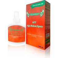 Güzeldost 100 ml Ağız Bakım Spreyi