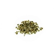 Gvn Art Mini 2.2x9.5 mm 12 gr Menteşe Vidası