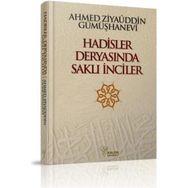 Hadisler Deryasında Saklı İnciler - Ahmed Ziyaüddin Gümüşhanevi