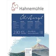 Hahnemühle 230 gr 36x48 cm 10 Yaprak Akrilik Yağlı Boya Blok