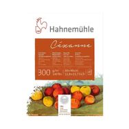 Hahnemühle 5669689 Rough 300 gr 30x40 cm 10 Sayfa Cezanne Sulu Boya Blok