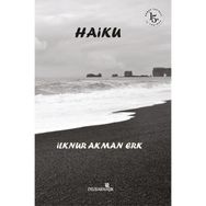 Haiku - İlknur Akman Erk