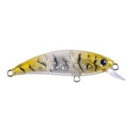 Hanfish Zıpır 50 kg K-22 Glass Shrimp