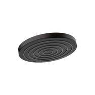 Hansgrohe 24141670 Pulsify S 260 1 Jet Eco Smart Mat Siyah Tepe Duşu