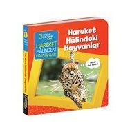Hareket Halindeki Hayvanlar - İlk Kitaplarım Serisi - Beta Kids Yayınları