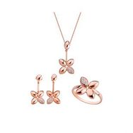 Harem Altın GMS128 Kadın Gümüş Set