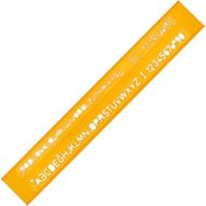 Hatas 5 mm Teknik Resim Yazı Şablonu