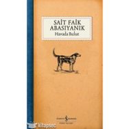 HAVADA BULUT - SAIT FAIK ABASIYANIK