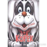Hayvanlar Aleminin En Sadığı Köpek - Yuva Yayınları Komisyon