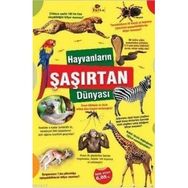 HAYVANLARIN ŞAŞIRTAN DÜNYASI - KOLEKTIF