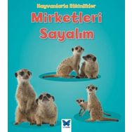 Hayvanlarla Etkinlikler - Mirketleri Sayalım - Tracey Steffora
