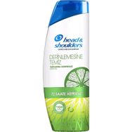 Head & Shoulders Derin Temizlik Yağlanma Kontrolü 300 ml Şampuan