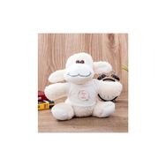 Hediye Dükkanı Kişiye Özel İki İsimli Çifltere Özel Peluş Koyun