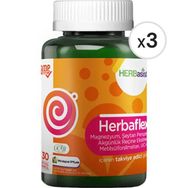 Herbasist Herbaflex 3x30 Kapsül