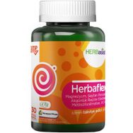 Herbasist Herbaflex Magnezyum 30 Kapsül