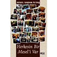 Herkesin Bir Meseli Var - Aysel Sadak İltaş
