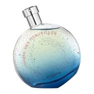 Hermes L'ombre Des Merveilles EDP 100 ml Erkek Parfüm