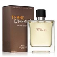 Hermes Terre D'Hermes Eau Intense Vetiver EDP 100 ml Outlet Erkek Parfümü
