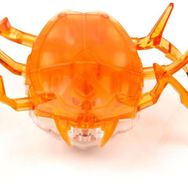 Hexbug Turuncu Bok Böceği
