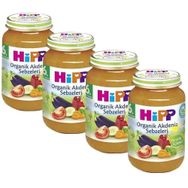 Hipp 4+ Ay 3x125 gr Organik Armut Püresi Kavanoz Maması