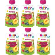Hipp 6x100 gr Organik Orman Meyveli Şeftalili Elma Püresi Bebek Maması