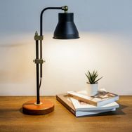 Homing Ayd-3108 Else Retro Style Çalışma Masa Lambası
