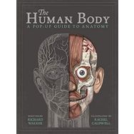 Human Body : A Pop-Up Guide To Anatomy - Richard Walker