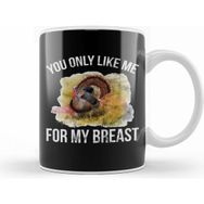 Humuts Funny Thanks Giving You Only Like Me For My Breast Kupa Bardak