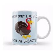 Humuts You Only Like Me For My Breasts Funny Thanksgiving Kupa