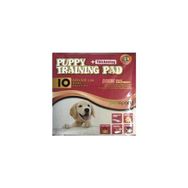Hushpet 60X60 cm 10'Lu Puppy Training Pedi