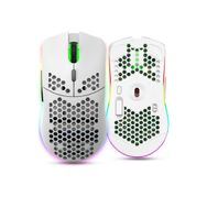 HXSJ T66 Beyaz 4 Hızlı Ayarlanabilir DPI Kablosuz Rgb Fare