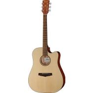 IBANEZ PF10CE-OPN Elektro Akustik Gitar