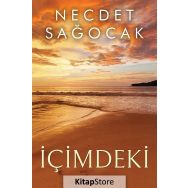 İçimdeki - Necdet Sağocak