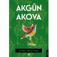 İçimden Geçen Yolda - Akgün Akova