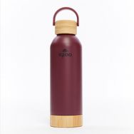 Igloo Hydrate Pro 500 ml Kırmızı Matara
