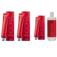 Igora Royal 4-68 Kahve-Çikolata Kızıl x3 Saç Boyası + 1 L Oksidan