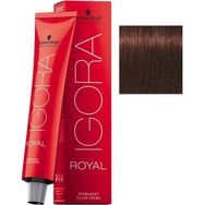 Igora Royal 4-68 Kahve-Çikolata Kızıl x3 Saç Boyası
