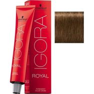 Igora Royal 6-5 Koyu Kumral-Altın 5 Adet Saç Boyası