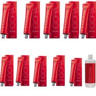 Igora Royal 8-4 Açık Kumral Bej x10 Saç Boyası + 1 L Oksidan