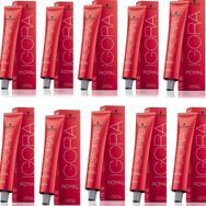 Igora Royal 8-65 Açık Kumral Çikolata Altın x10 Saç Boyası