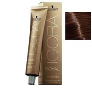 Igora Royal Absolutes 6-60 Koyu Kumral Çikolata 2 Adet Saç Boyası