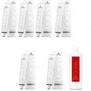 Igora Royal Absolutes Silverwhite Silver 6 Adet Saç Boyası + 1 lt Oksidan