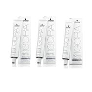 Igora Royal Absolutes Silverwhite Slate Grey 3 Adet Saç Boyası