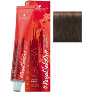 Igora Royal Dusted Rouge 6-491 Koyu Kumral Bej Viyole Sandre Saç Boyası