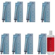 Igora Royal Highlifts 12-1 Özel Açıcı Sandre 8x60 ml Saç Boyası + 1 lt Oksidan