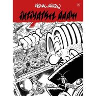 İhtiyatsız Adam İthaki Yayınları