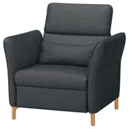 IKEA Fammarp Tallmyra Siyah-Gri Tekli Koltuk